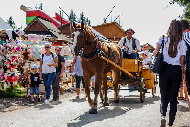 Gubałówka - zakopane noclegi domki